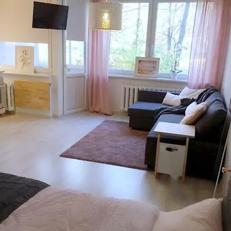 公寓 ☆ Perfect Spot ☆ Everywhere In 10 Min. *